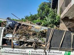 Best Attic Cleanout  in Landrum, SC
