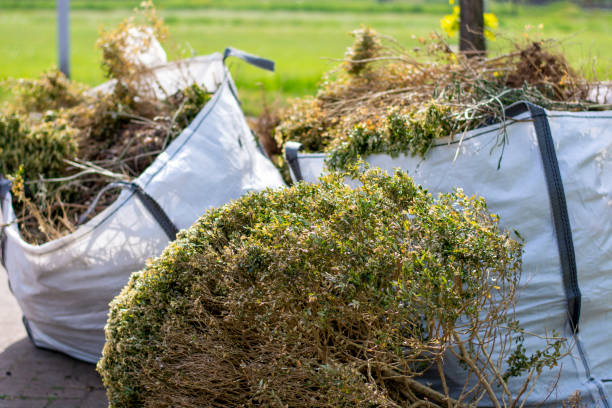 Best Retail Junk Removal  in Landrum, SC